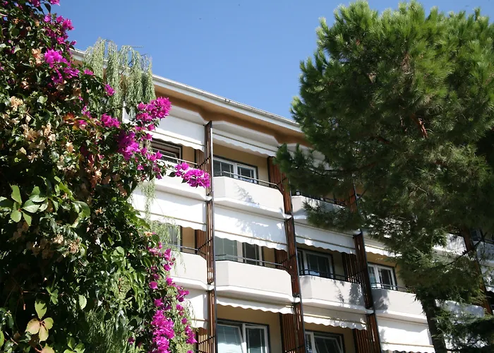 Hotel adatto agli animali: Hotel Palace